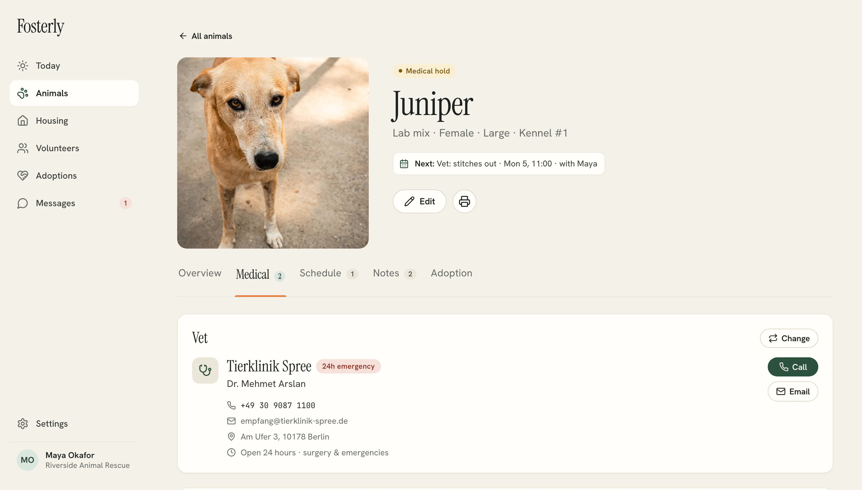Fosterly — Medical & medication screen